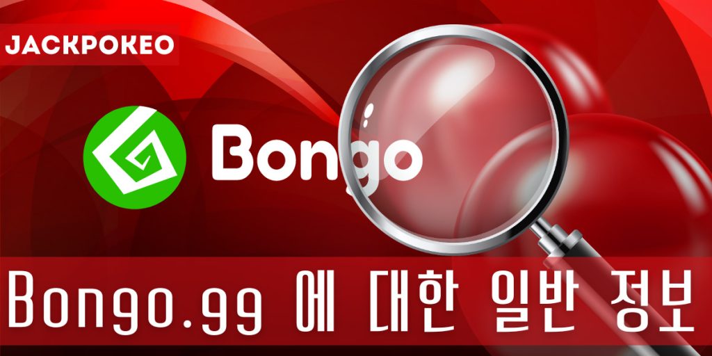 Bongo.gg 에 대한 일반 정보